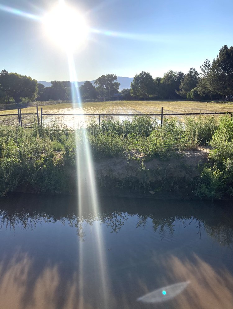 Acequia Pendant