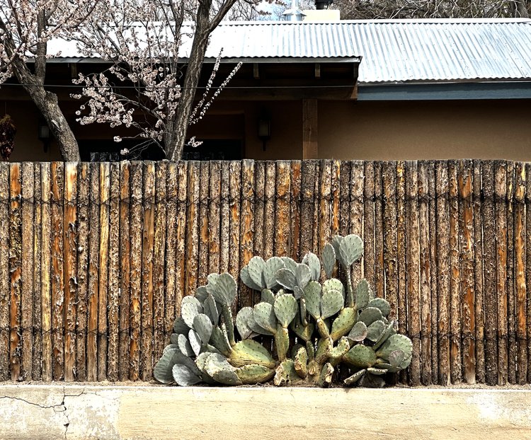 Acequia Pendant