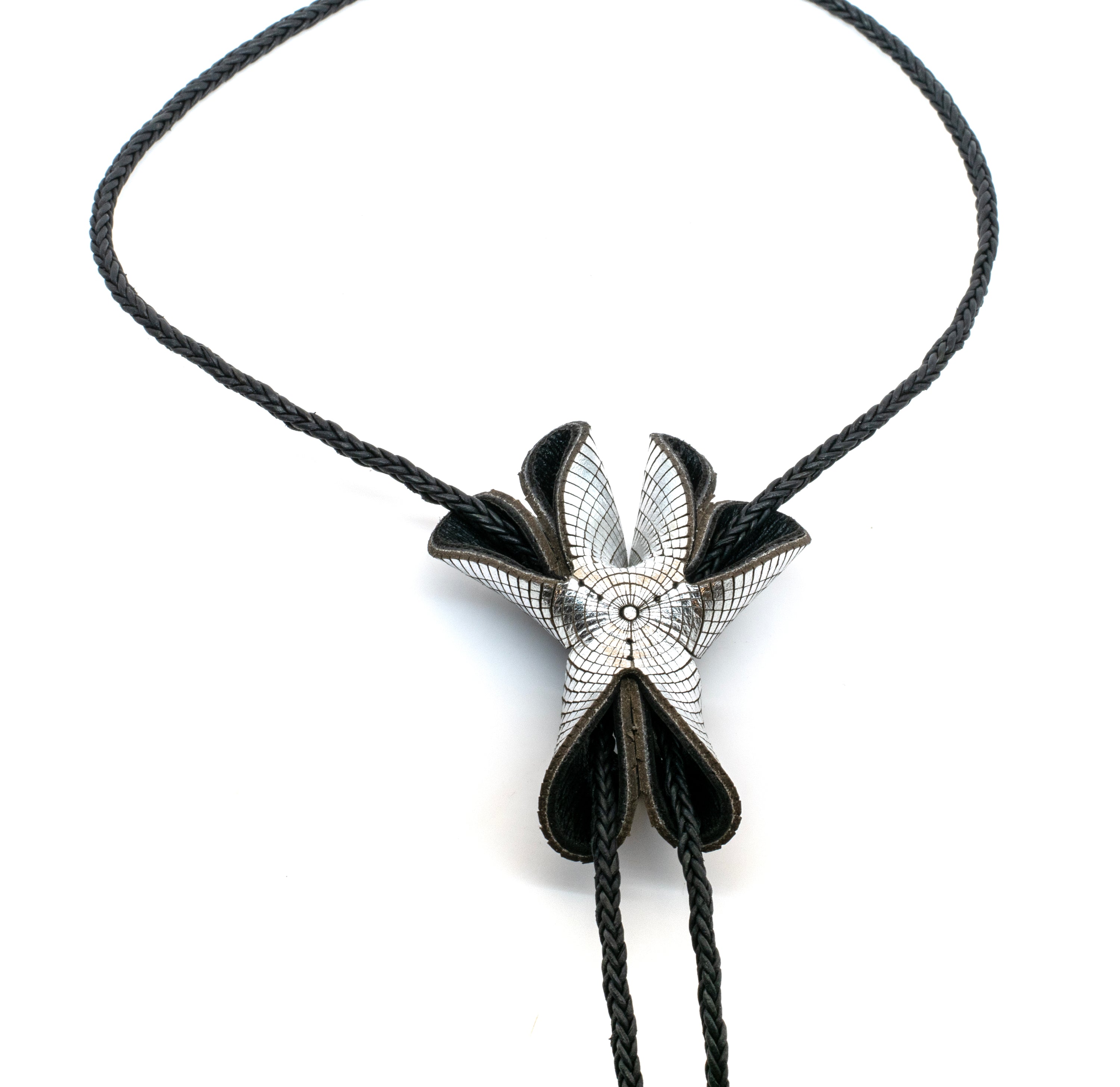 Yucca Bolo